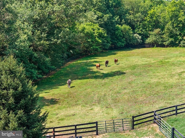 view of yard featuring a rural view