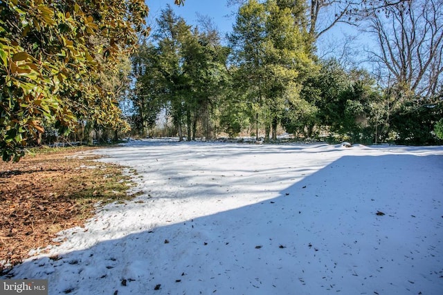 view of snowy yard