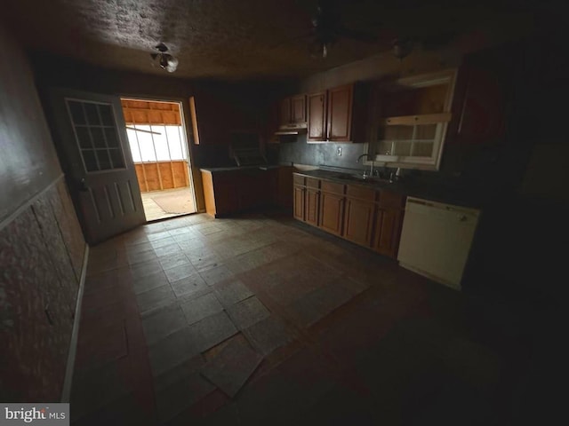 kitchen with dishwasher and sink