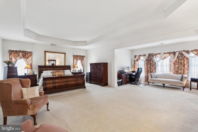 carpeted bedroom with a tray ceiling