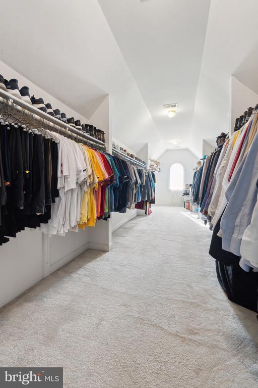 spacious closet with light colored carpet and lofted ceiling