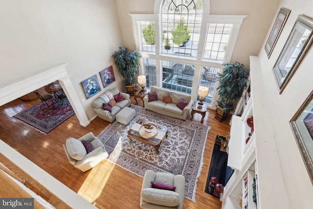 living room with a high ceiling, a healthy amount of sunlight, and wood-type flooring