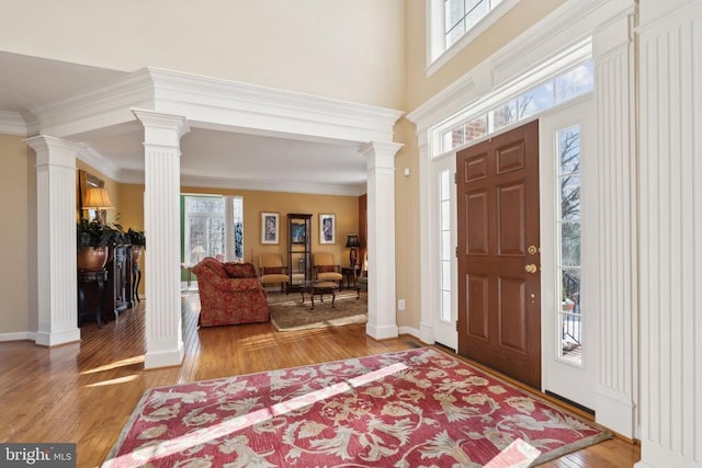 foyer entrance with crown molding and wood-type flooring