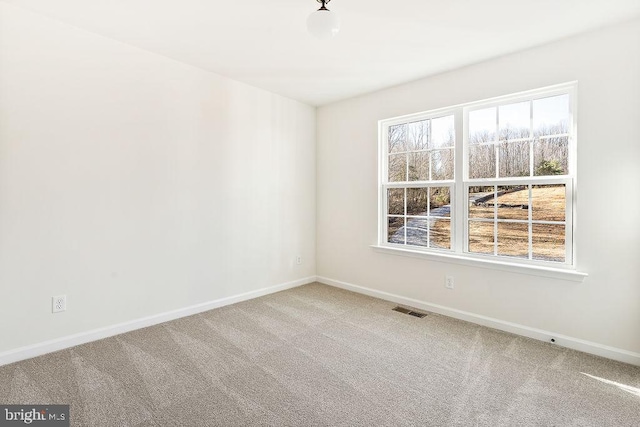 spare room with carpet floors