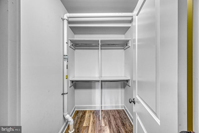 spacious closet with hardwood / wood-style floors