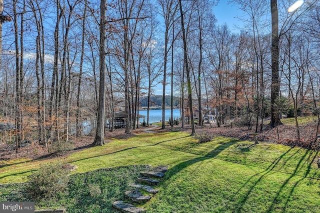 view of yard featuring a water view