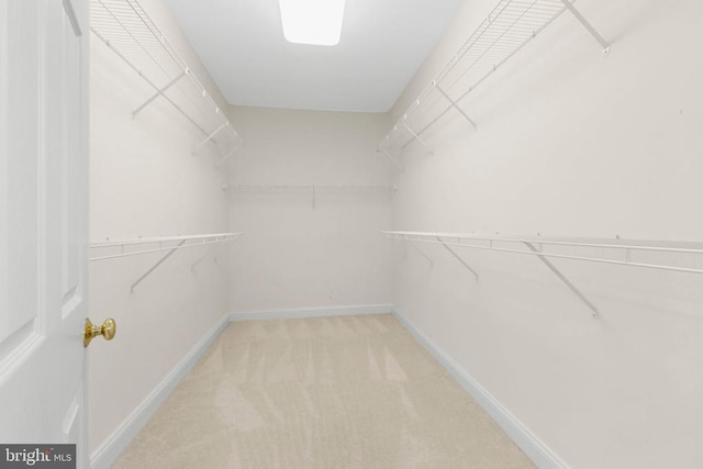 spacious closet featuring light carpet