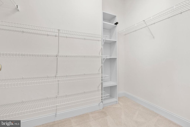 spacious closet with carpet