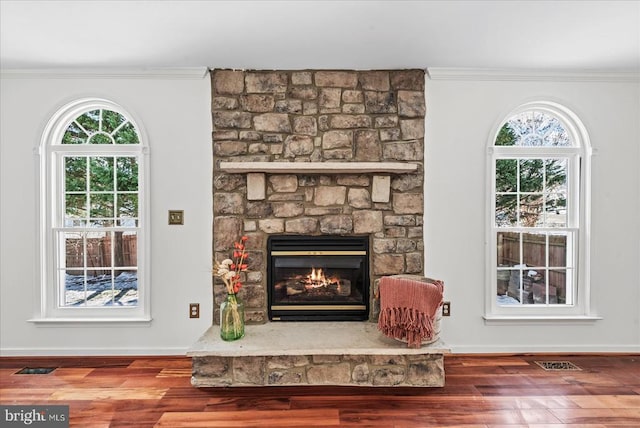 room details with crown molding, a fireplace, and wood-type flooring