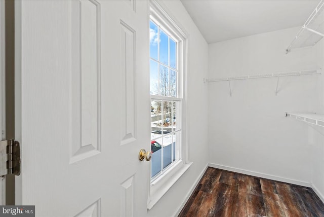 walk in closet featuring dark hardwood / wood-style floors