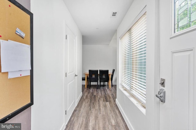 corridor featuring wood-type flooring and a healthy amount of sunlight