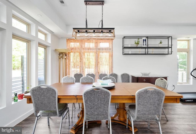 dining space with hardwood / wood-style flooring and plenty of natural light