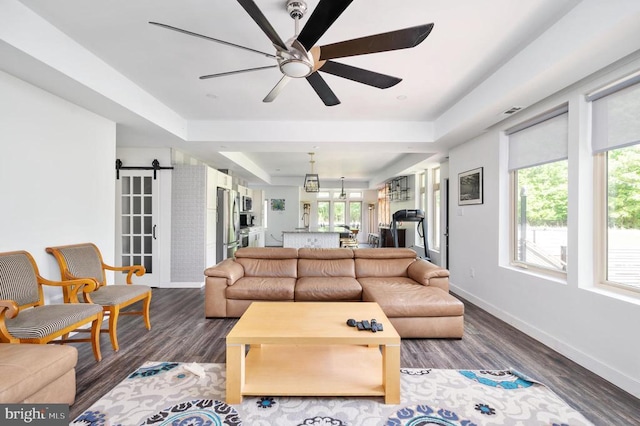 living room with ceiling fan, a barn door, dark wood-type flooring, and a tray ceiling