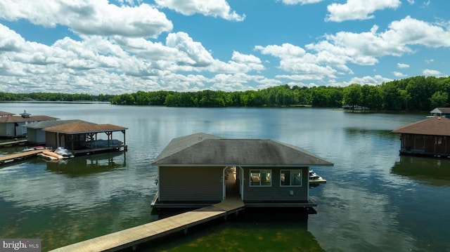 dock area with a water view