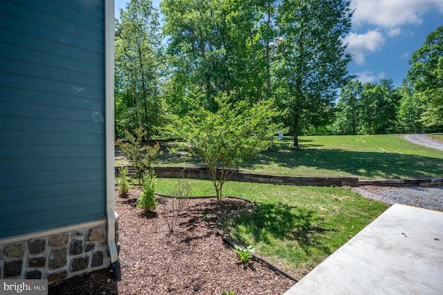 view of yard featuring a patio area