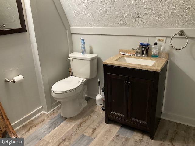 bathroom featuring toilet, vanity, and wood-type flooring