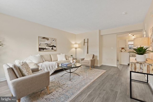 living room with dark hardwood / wood-style floors