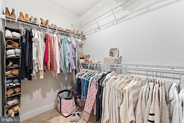 spacious closet with carpet