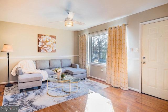 living room featuring ceiling fan and hardwood / wood-style flooring