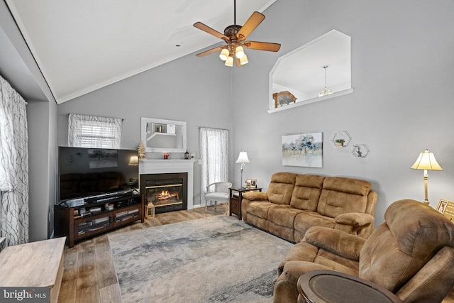 living room featuring ceiling fan, ornamental molding, high vaulted ceiling, and wood-type flooring