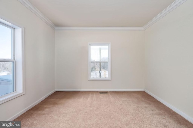 spare room with ornamental molding and light carpet