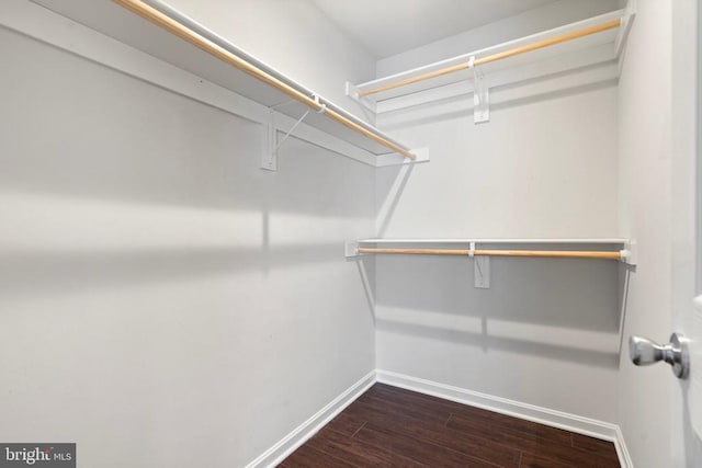 spacious closet featuring dark wood-type flooring