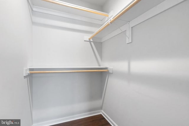 walk in closet featuring wood-type flooring