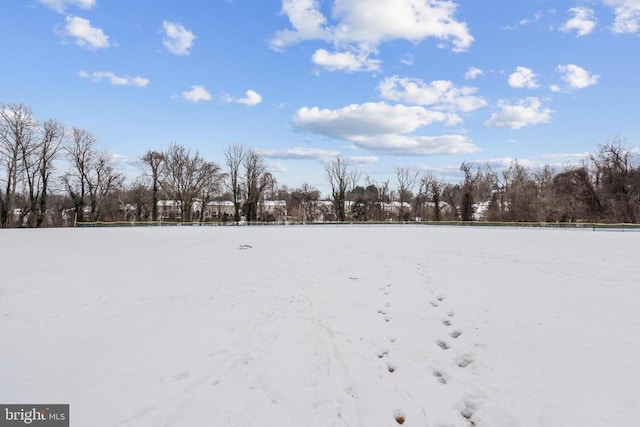 view of yard layered in snow