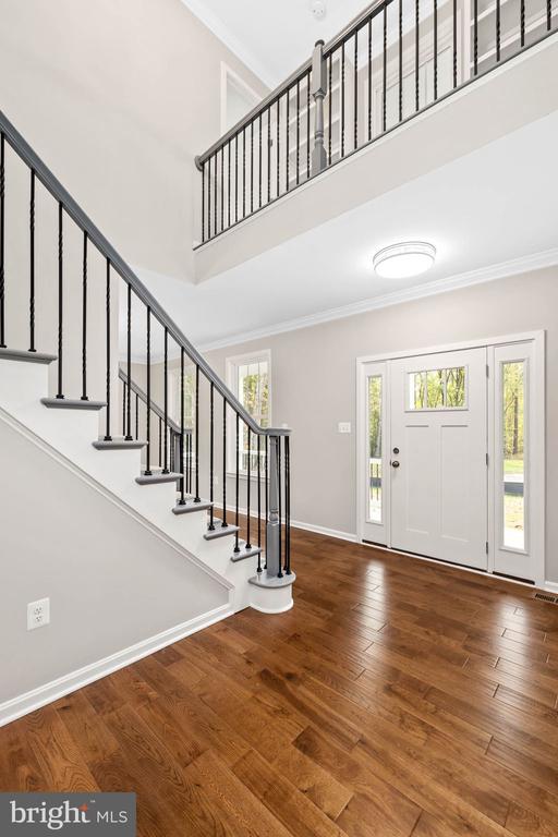 entryway with wood-type flooring, a high ceiling, and ornamental molding