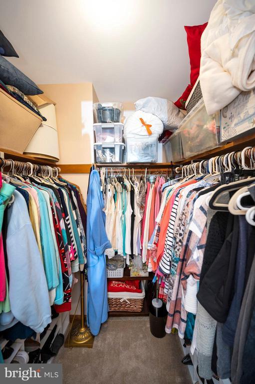 walk in closet featuring dark colored carpet