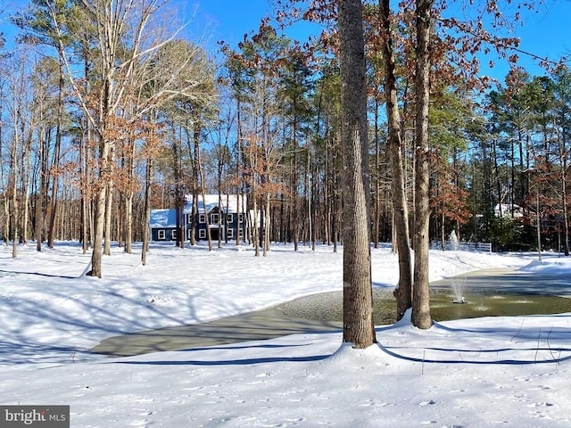 view of yard covered in snow