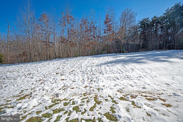 view of yard covered in snow