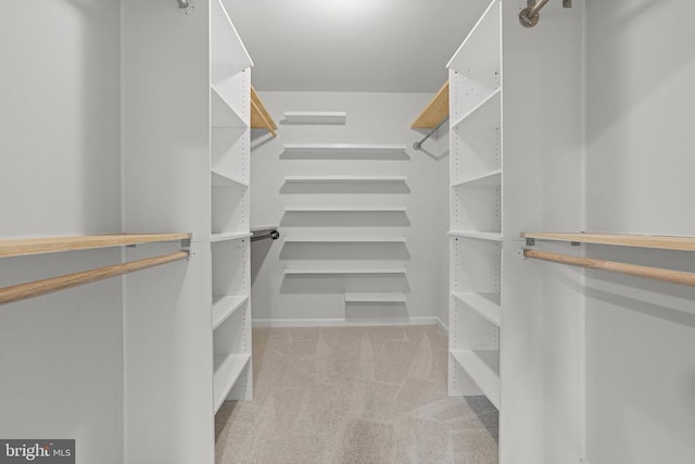 spacious closet with light carpet