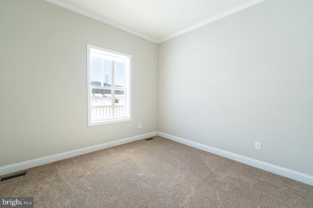 empty room with carpet and crown molding