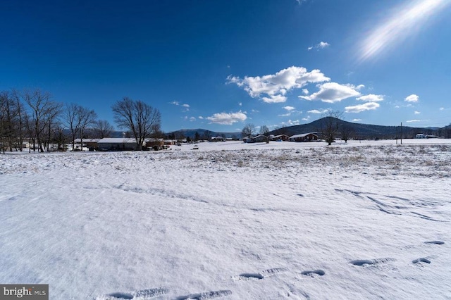 yard layered in snow with a mountain view