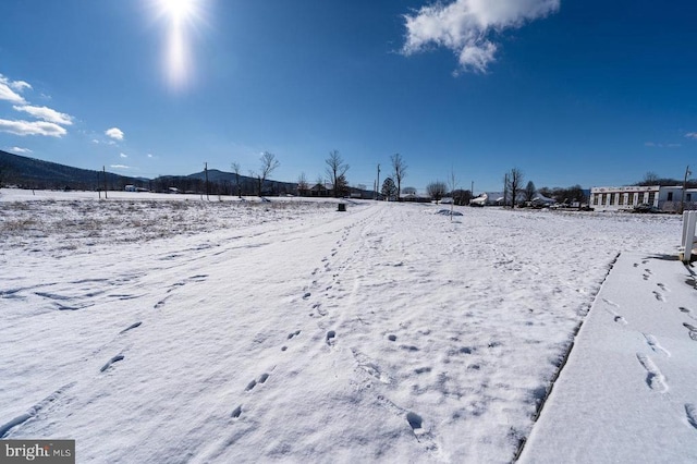 view of yard covered in snow