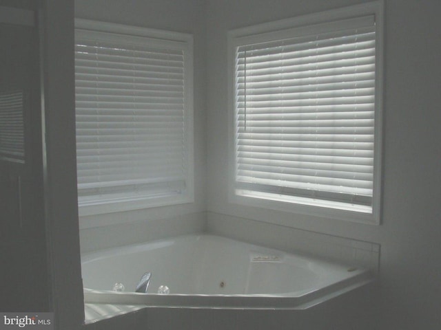 bathroom with a bathtub and plenty of natural light