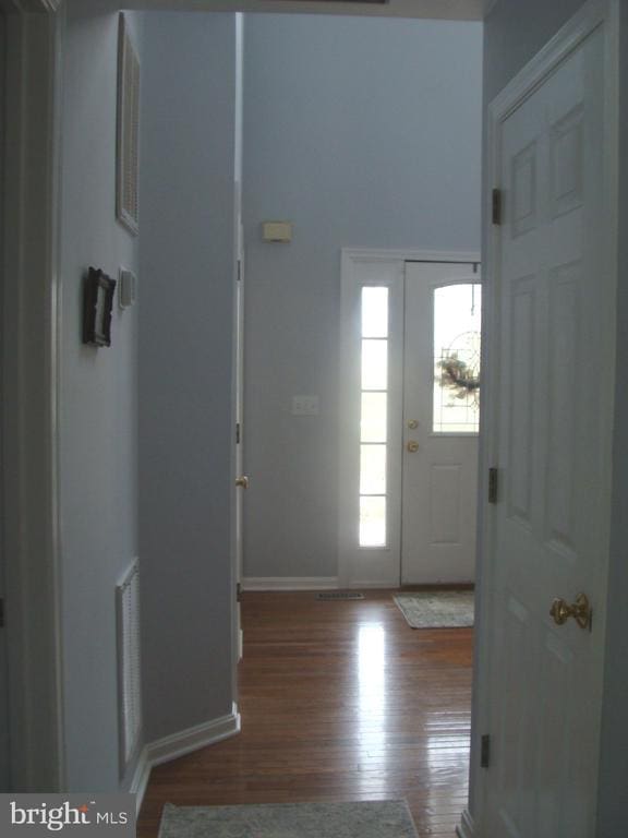 entrance foyer with wood-type flooring