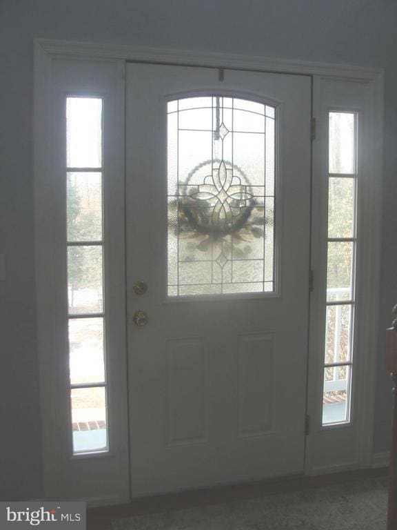 entryway featuring plenty of natural light