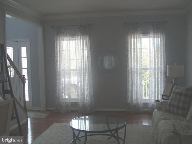 living room featuring dark hardwood / wood-style floors