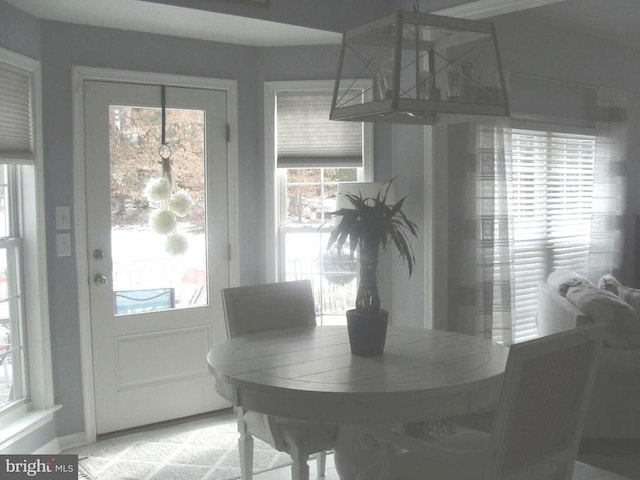 dining area featuring a wealth of natural light