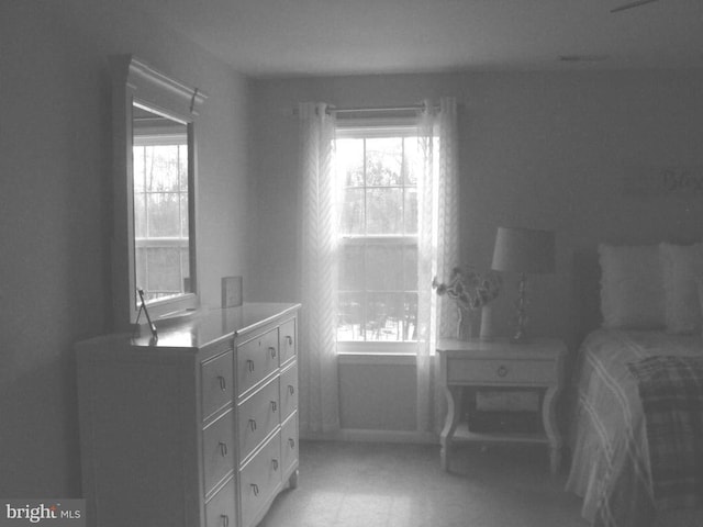 bedroom with multiple windows