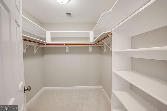 spacious closet with light colored carpet