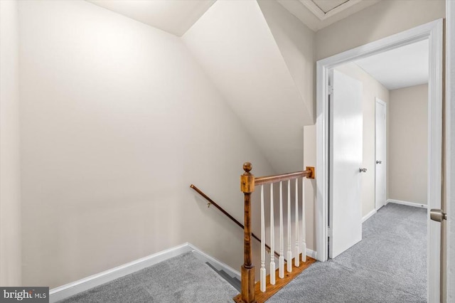 staircase featuring carpet