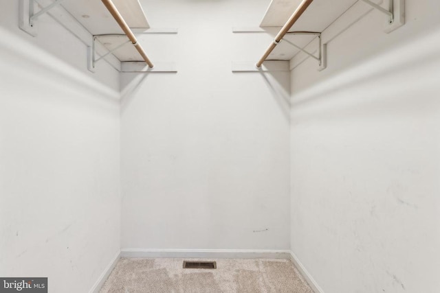 walk in closet featuring carpet flooring