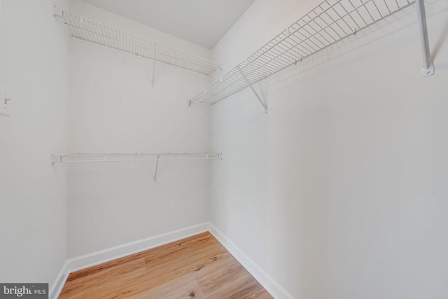 spacious closet featuring hardwood / wood-style flooring