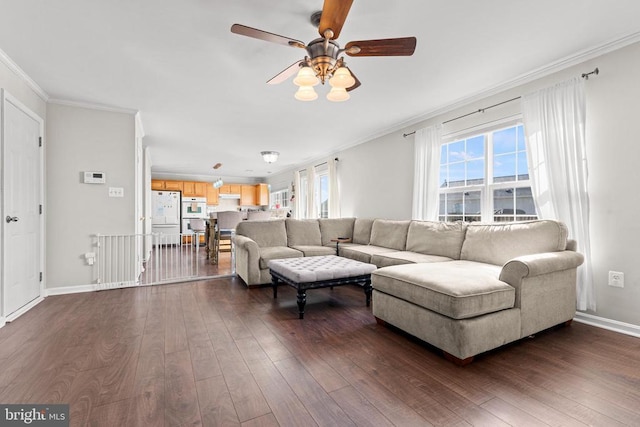 living room featuring crown molding, ceiling fan, and dark hardwood / wood-style flooring