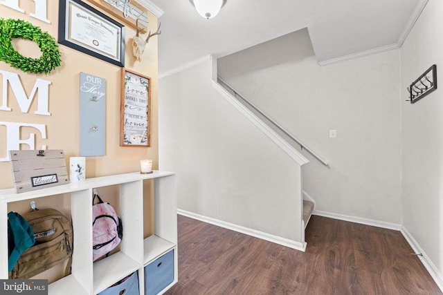 interior space with wood-type flooring and ornamental molding