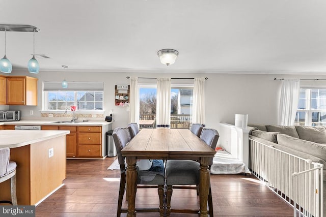 dining room with dark wood-type flooring, a healthy amount of sunlight, crown molding, and sink