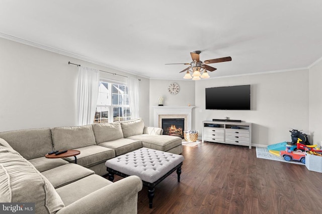 living room with crown molding, dark wood-type flooring, and ceiling fan